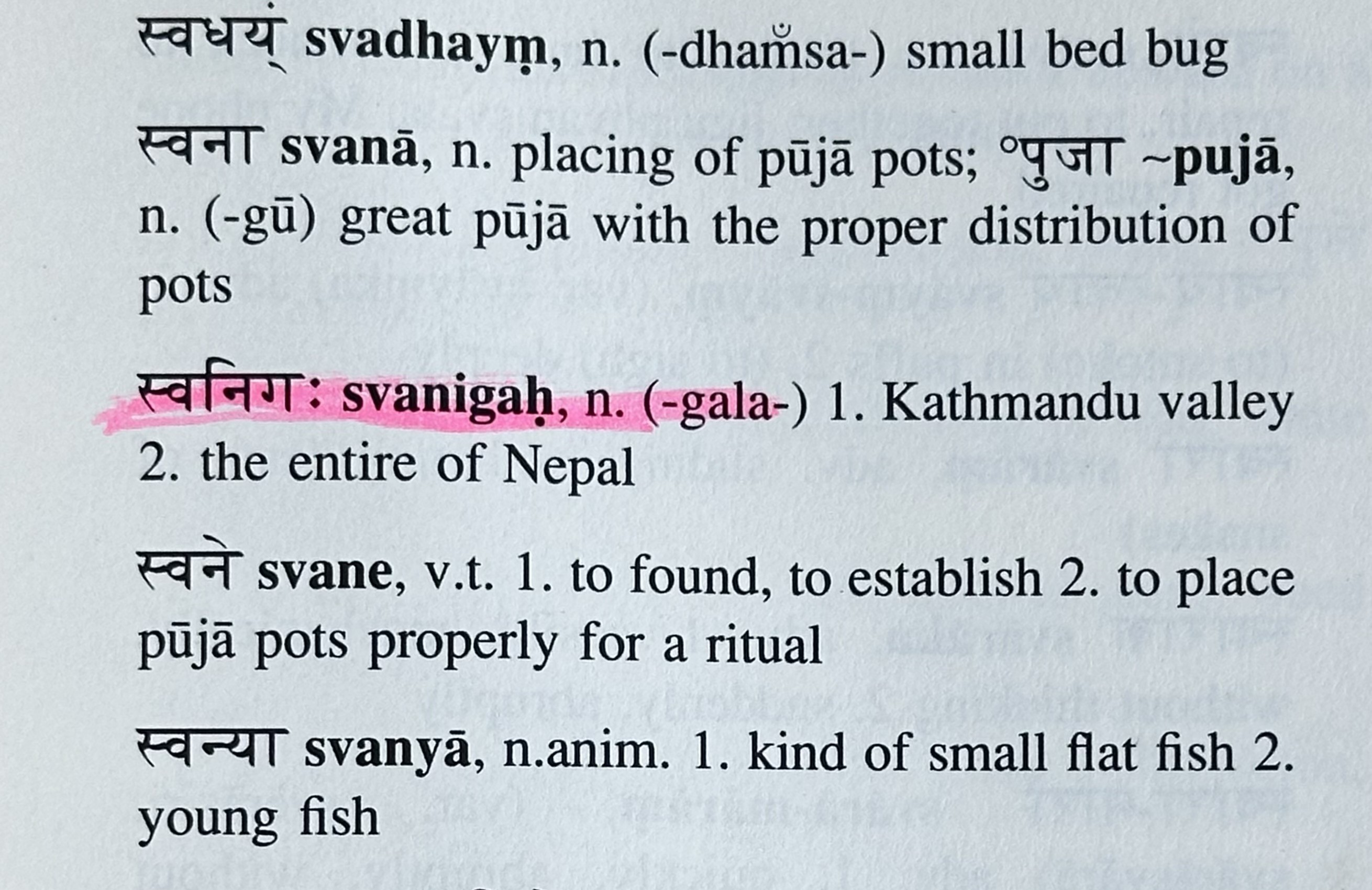 Swaniga 4.jpg
